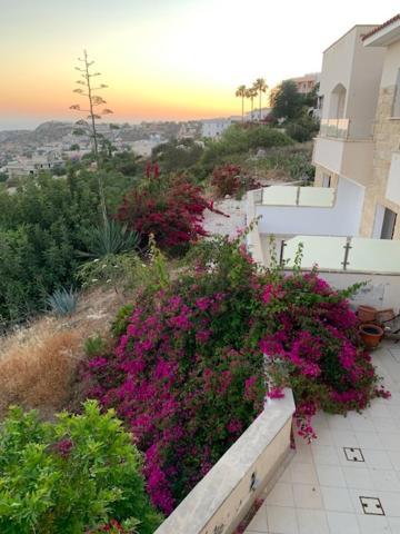 Beau Views Seven Apartment Peyia Ngoại thất bức ảnh